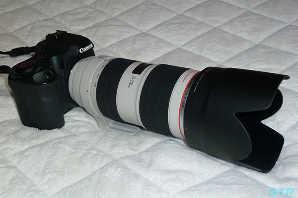Canon EF70-200mm F2.8L IS II USM 購入 - 暇人STRのブログ