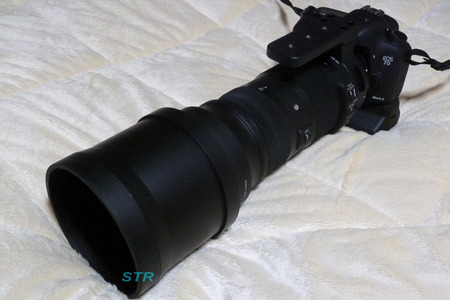SIGMA 150-600mm F5-6.3 DG OS HSM Sports 購入