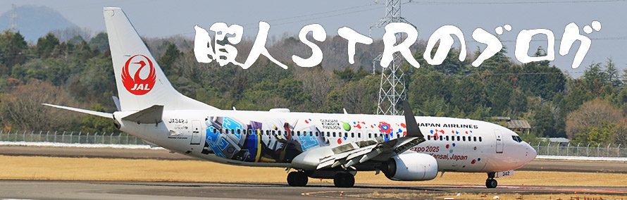 暇人STRのブログ