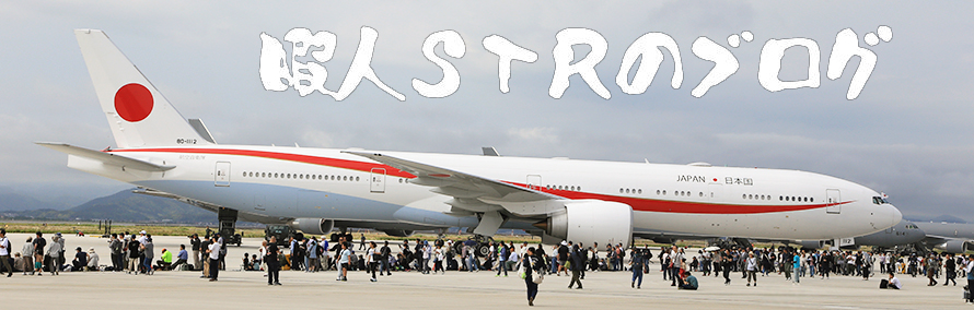 暇人STRのブログ